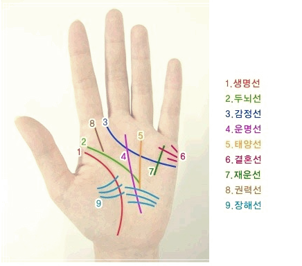  남자손금보는법 운명선 재물선 태양선