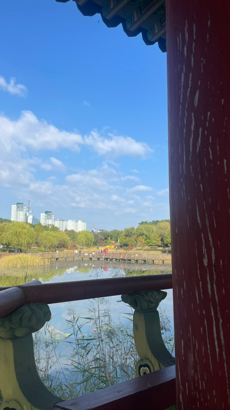 나의 대전 일기] 야 누가 대전 재미없대? 대전 1박 2일 여행 | 젤리포에, 한밭수목원, 더 프렐류드 샵 : 네이버 블로그