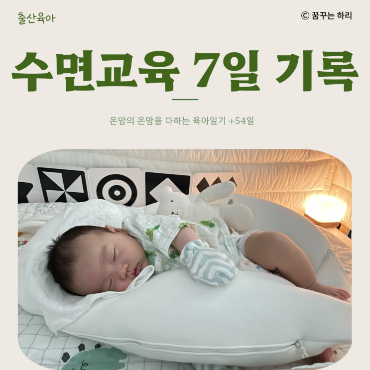  온맘의 육아일기 D+54일 8주차 신생아수면 수면교육과정 수면교육소요기간 수면교육일주일기록 수면교육방법