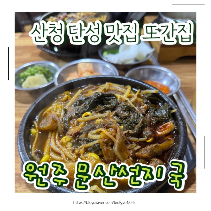  산청맛집 둘리네 또간집 원조문산선지국