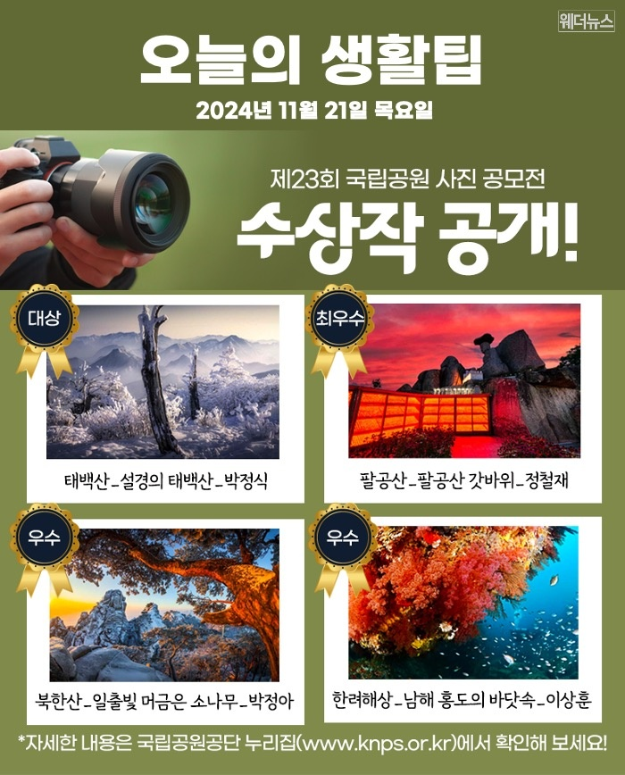 24년 11월 21일 정치 경제 국제 증시 주식 사회 뉴스 모음