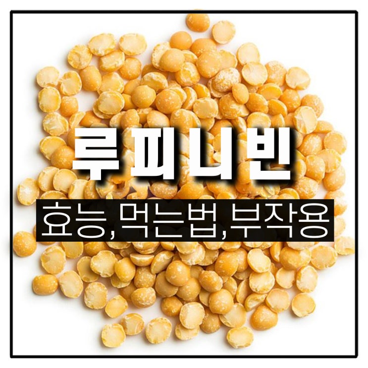  당뇨 밥상 루피니빈 씨앗 콩 잡곡 효능 먹는법과 부작용