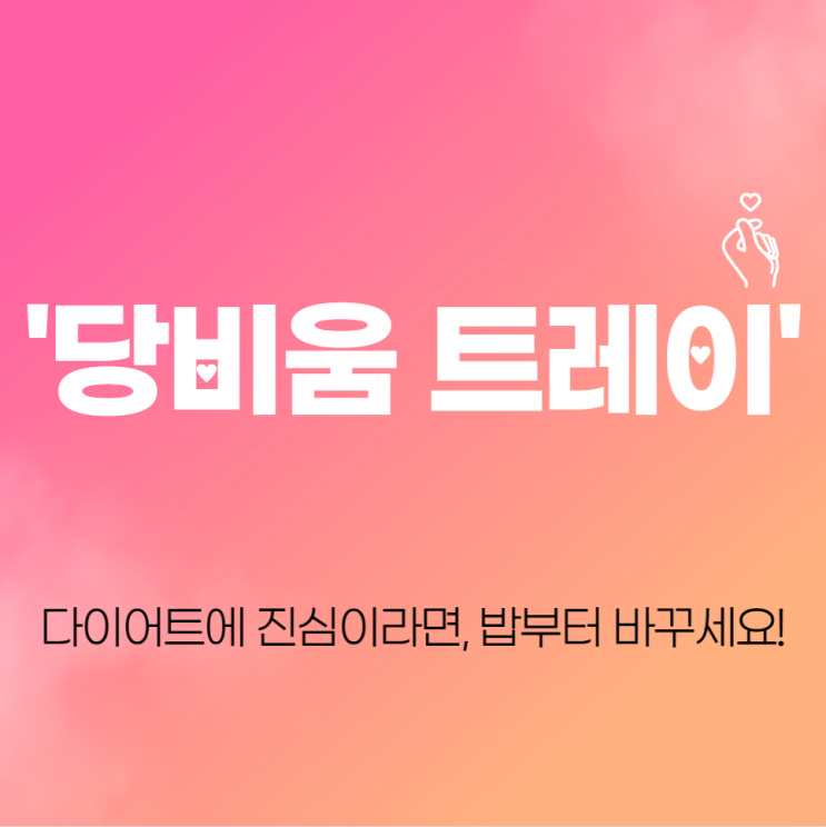  다이어트에 진심이라면, '당비움 트레이'로 밥부터 바꾸세요! 