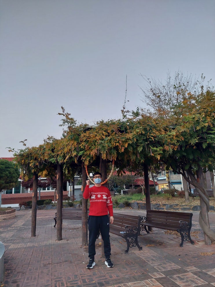  松山 알리익스프레스 구입  빨간 스웨터 (용신 색깔) 입어 불고^^ 동네 공원 사진 한 컷, 으므하하하하하.