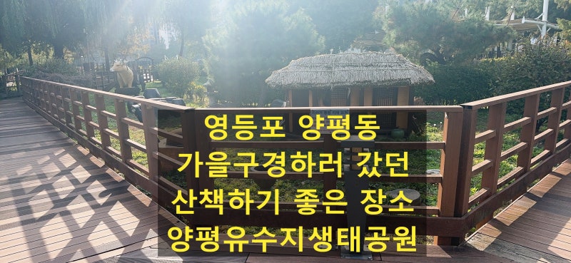 사진 8