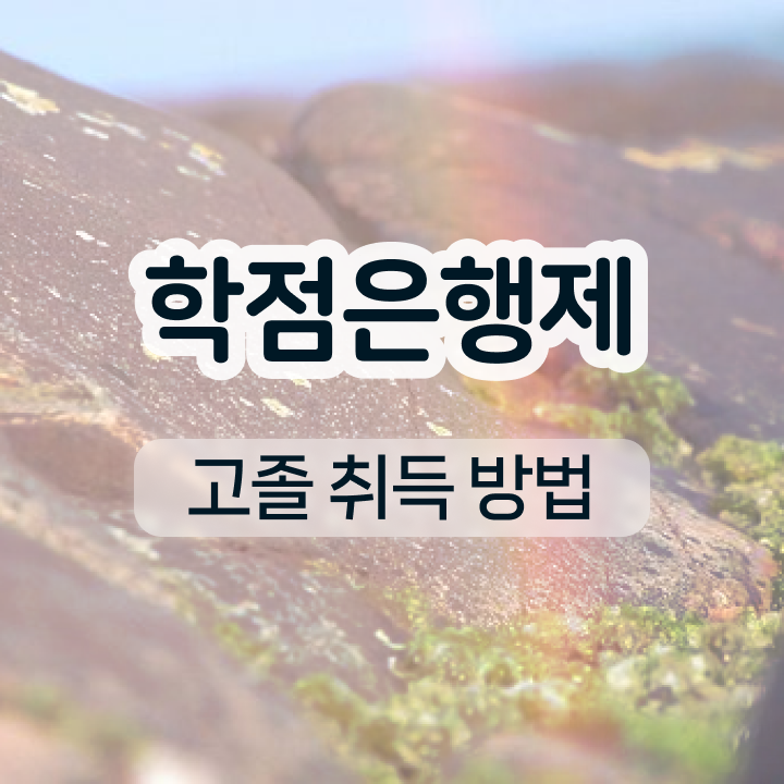  학점은행제학위인정 , 학점은행제 전공 직장인도 쉽고 빠르게 완료한 꿀팁 모음