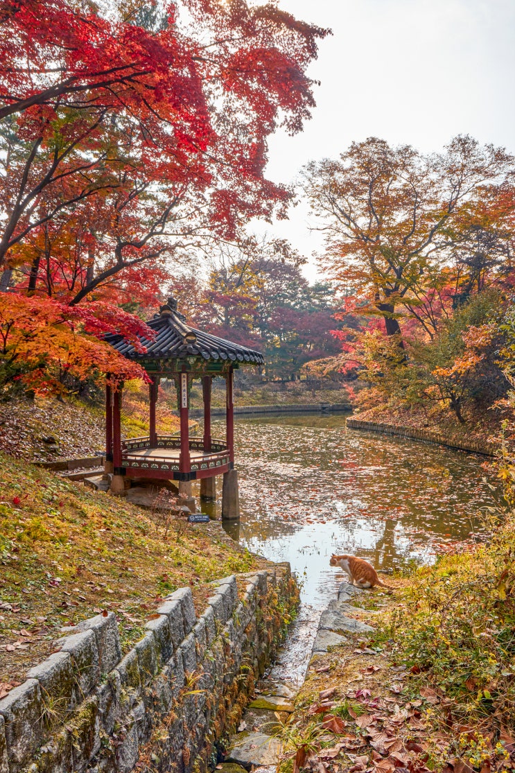  창덕궁의 계절별 다양한 풍경
