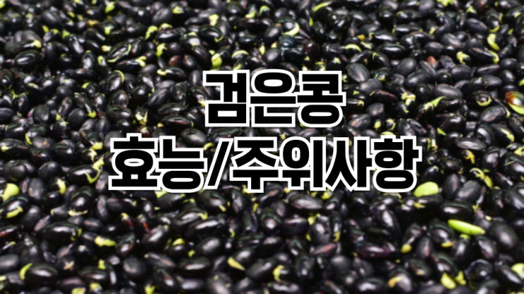 검은콩 효능  우리 몸에 좋은 이유 7가지