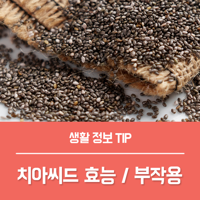  치아씨드효능 부작용, 치아씨드 하루 권장량은?