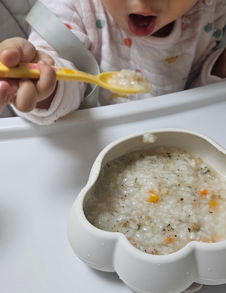  유아식기 퍼기 냥냥 흡착볼 사용후기