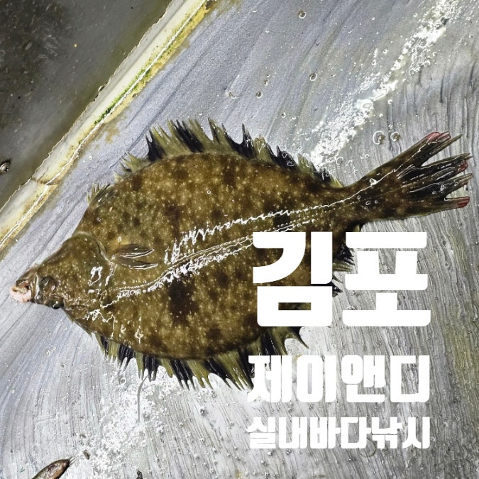 제이앤디 실내바다낚시터 김포본점 아이와 함께 한 후기