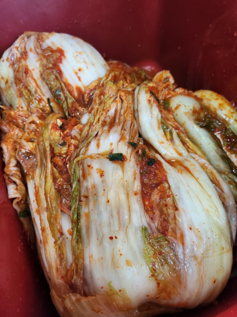 홍진경더김치 포기김치9kg 내돈내산 솔직후기
