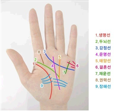  여자손금보는법 생명선 감정선 두뇌선