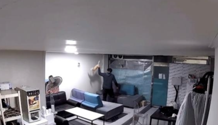 새끼고양이 3시간동안 학대한 배달기사 재판행 새끼고양이 3시간동안 학대한 배달기사 재판행