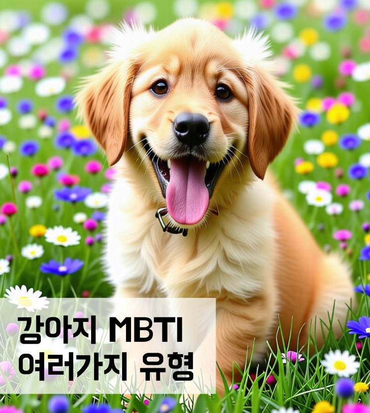  강아지 MBTI 유형 알아보기