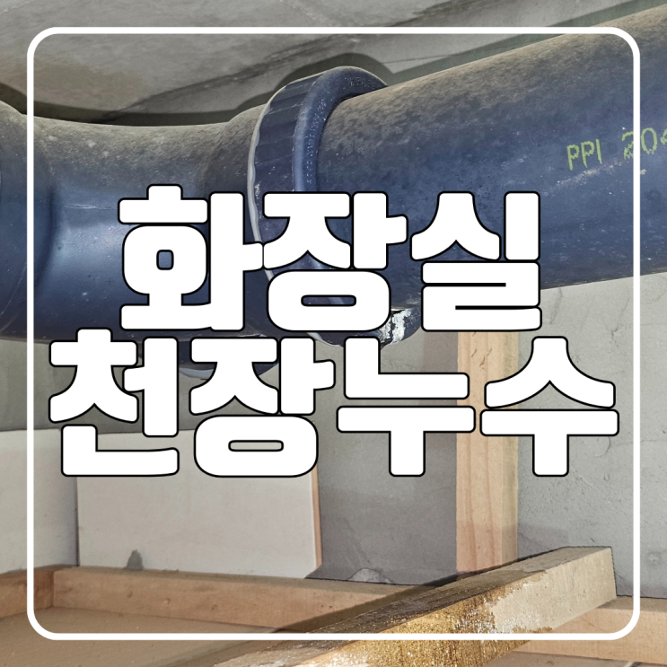  화장실 천장 누수 - 수원 원천동 아파트 변기 배관 문제