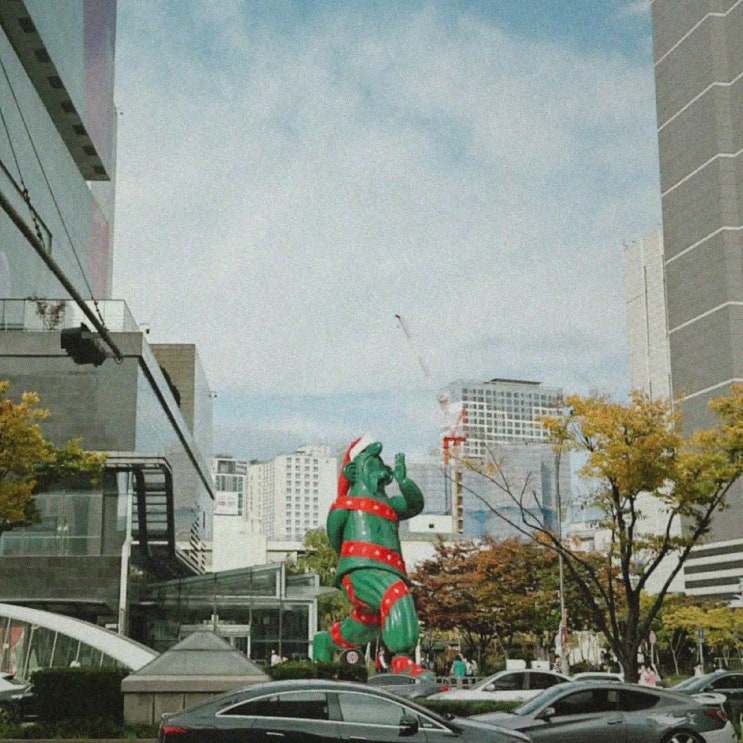  치즈카메라로 찍은 대구 일상사진 (하이메 아욘 스텝 바이 스텝 외 10매)