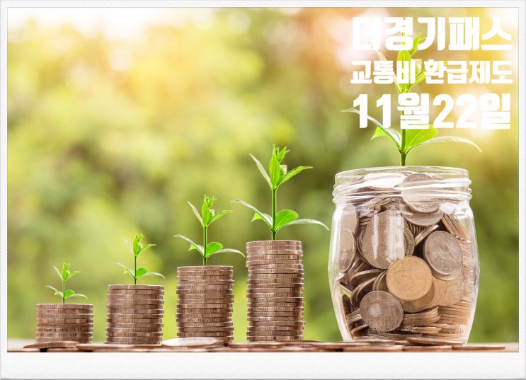 더 경기패스 카드 신청 방법 (숙제)