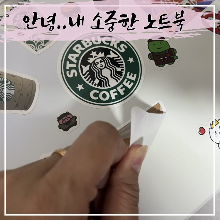  안녕~그동안 고마웠어
