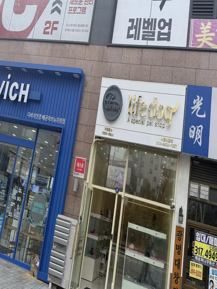  [강아지분양] 시흥에서 24시간 운영하는 강아지분양점으로 가족 맞이하기!