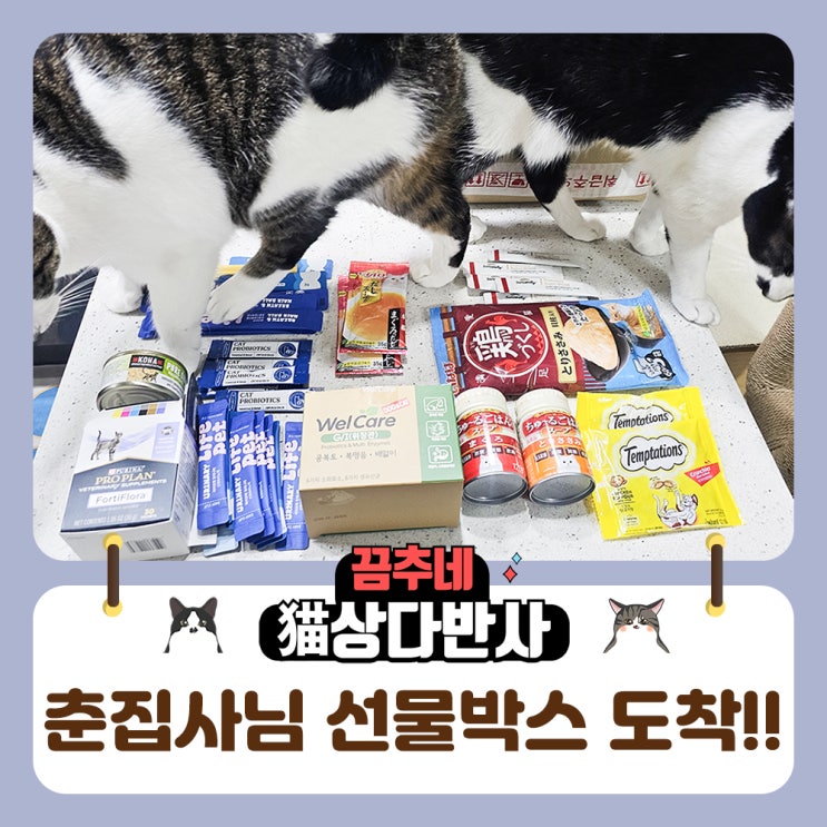 변비고양이 소금이에게 춘집사님께서 보내주신 선물이 도착했어요