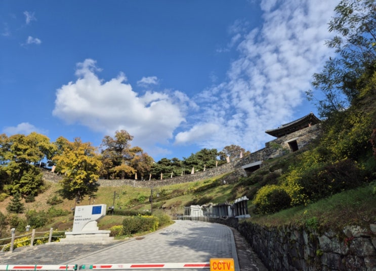  [공주/금산동] 공주 이색데이트 공산성 나들이!