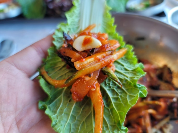  거제추천맛집 거제물회맛집 거제도맛집 소노캄맛집 쌈싸먹는 물회맛집 거제보재기집