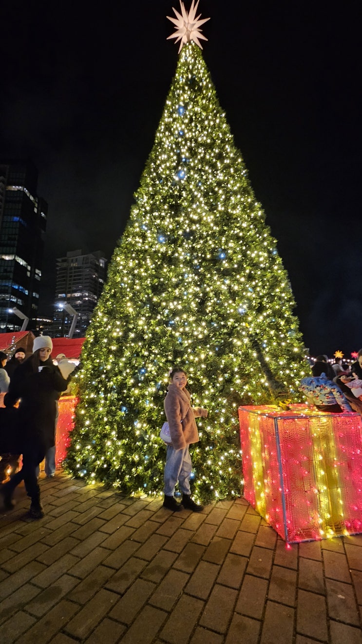  To the Christmas market and the Lumiere festival