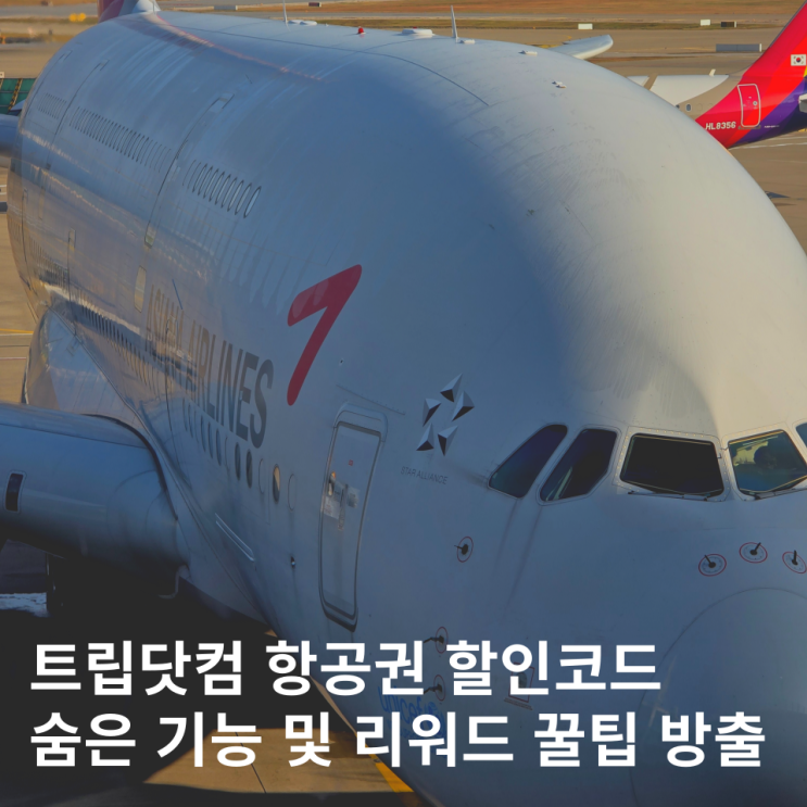  트립닷컴 항공권 할인코드 11월 12월 숨은 기능 예산 절약 꿀팁