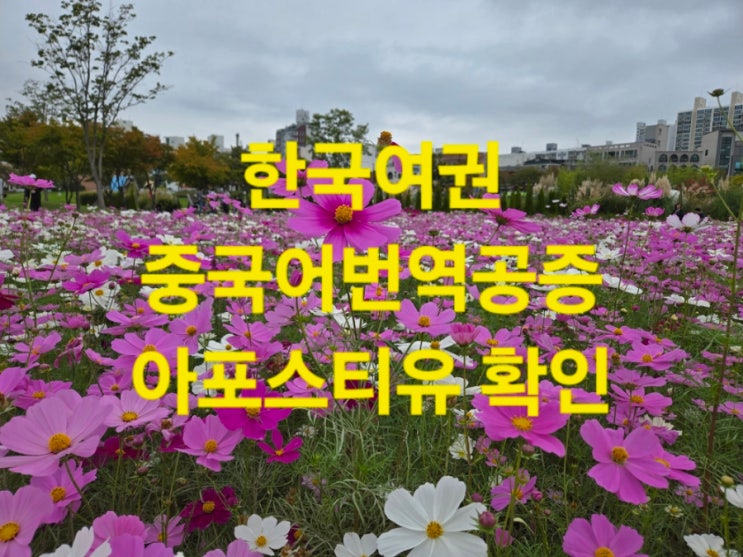  여권 공증 / 아포스티유 확인