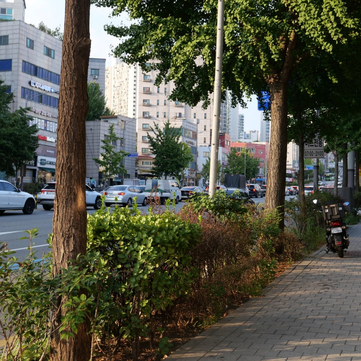 하이브 <b>어도어</b> <b>민희진</b> <b>뉴진스</b>
