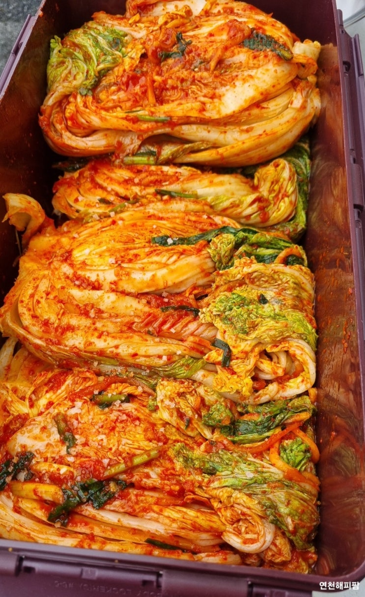  김치의날 김장담그기