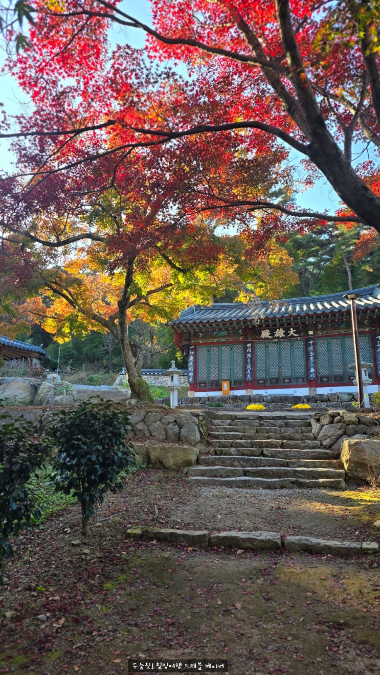  옥룡암 경북 단풍명소 경주 여행코스 추천