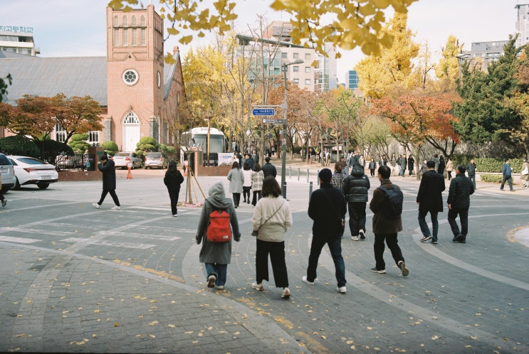  carlzeiss Planar 80mm 2.8f lens Test(중형 포멧)