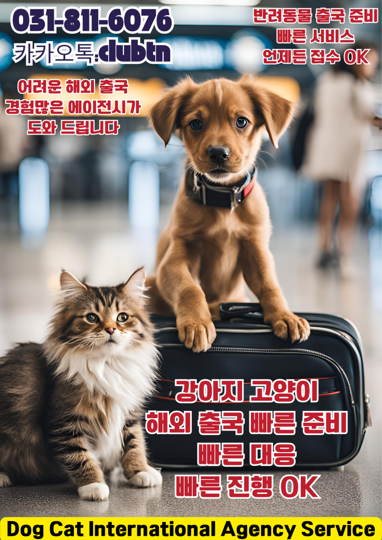  반려동물 강아지 고양이 개 반려견 애완견 애완동물 해외 출국 준비 입국 서류 에이전시 서비스 [검역,강아지 고양이해외운송]