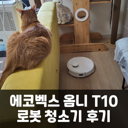 로봇청소기 에코백스 디봇 T10 옴니 구매 및 사용 후기