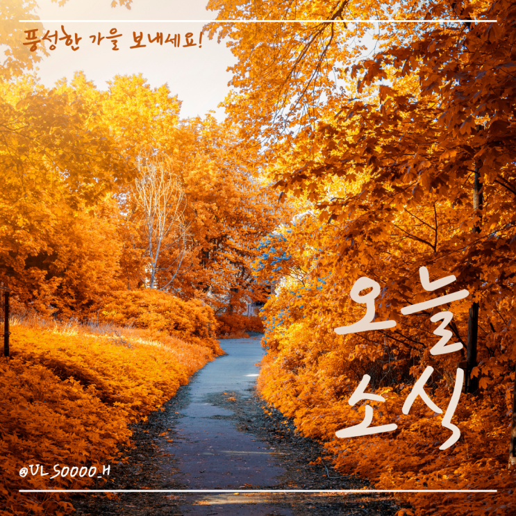 오늘의 소식 24.11.22