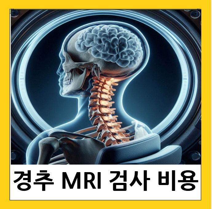 경추 mri 검사 시간 비용
