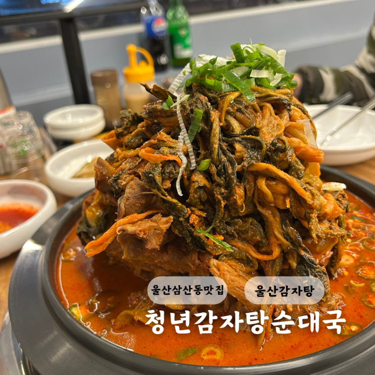  울산삼산밥집 청년감자탕순대국 공든탑감자탕 가성비 맛집
