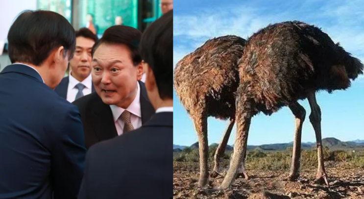 보수 원로 <b>이석연</b> 헌법연구관, 전 <b>법제처장</b> - "윤석열 임기 단축... 