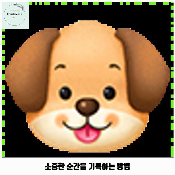 사진 6