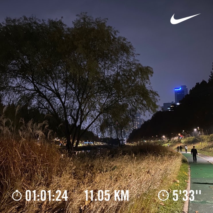  러닝로그_241121 퍼플런은 처음이라_11km