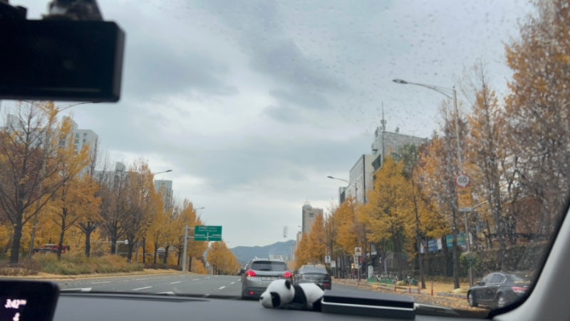 사진 5