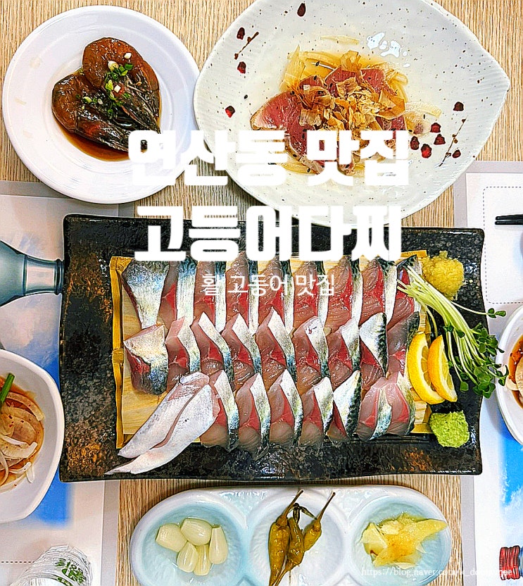  부산 연산동 맛집 '고등어다찌' 활고등어회 맛집 재방문후기