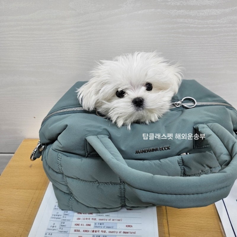사진 3