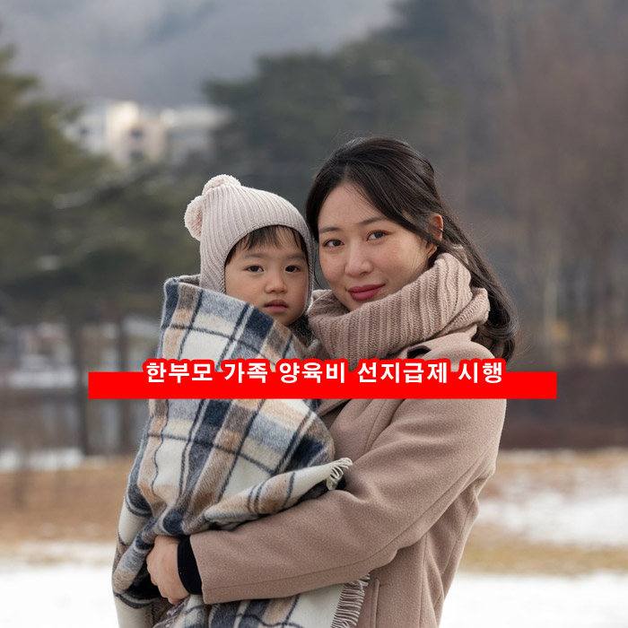  한부모가족 양육비 선지급제 월 20만 원 기준중위소득