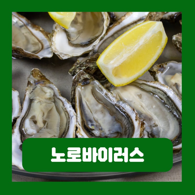  겨울철 노로바이러스 예방법 "이것" 꼭 살펴보세요
