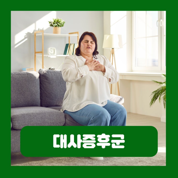  대사증후군이란 위험 진단 검사 관리