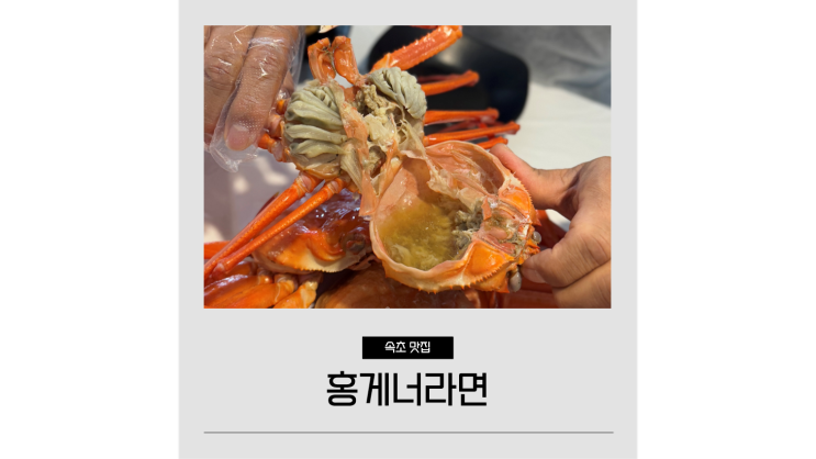  속초 점심 맛집 홍게너라면 속초항 대게 맛있는곳