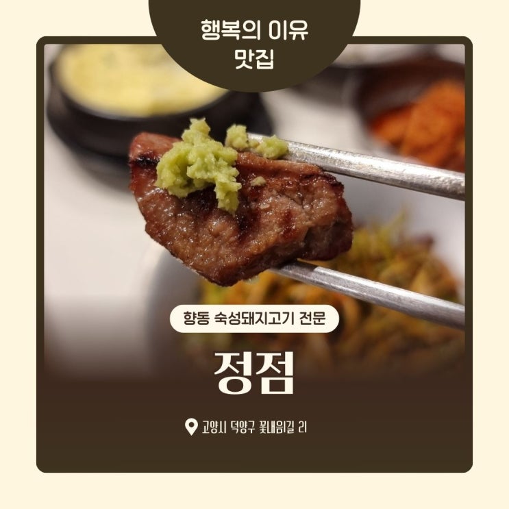  향동 숙성돼지고기 정점 제주감성 고깃집